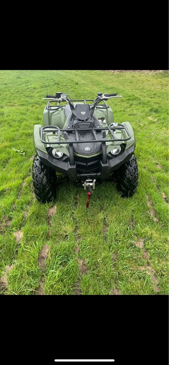 Yamaha Kodiak 450 - Image 1