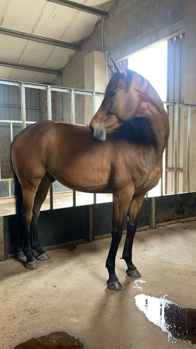 Perfect happy hacker - Image 1