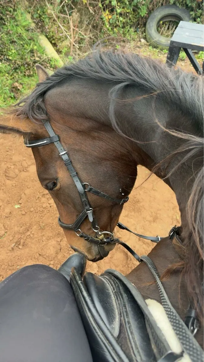 Perfect happy hacker - Image 3