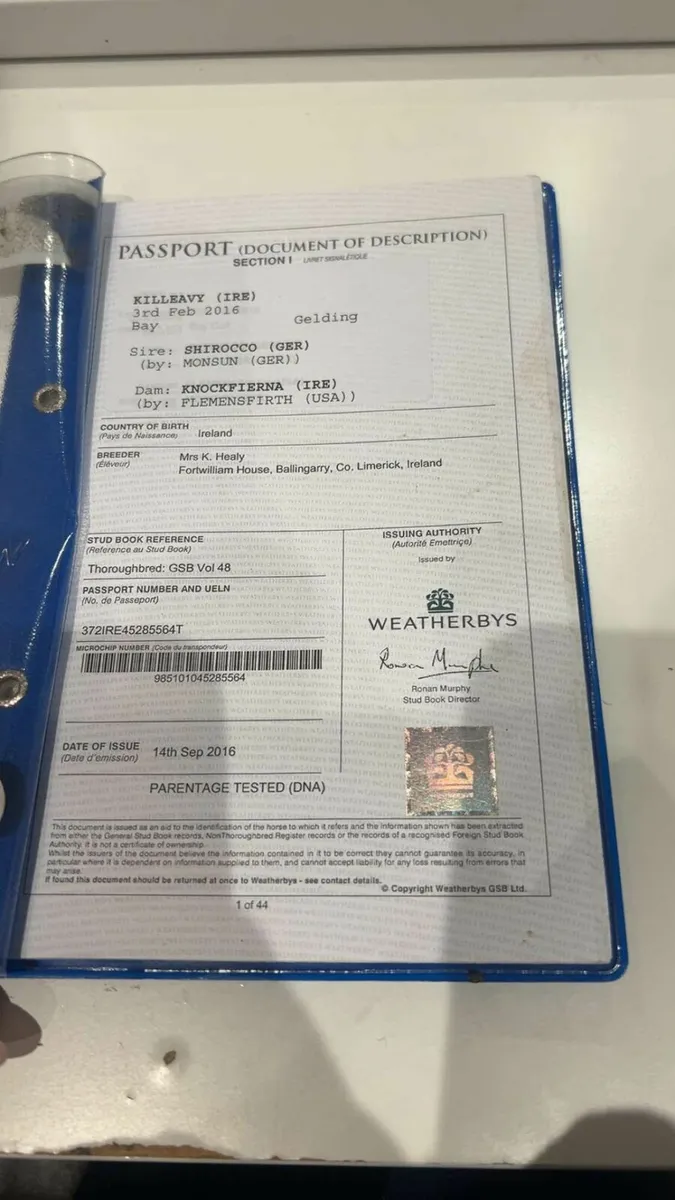 Perfect happy hacker - Image 4