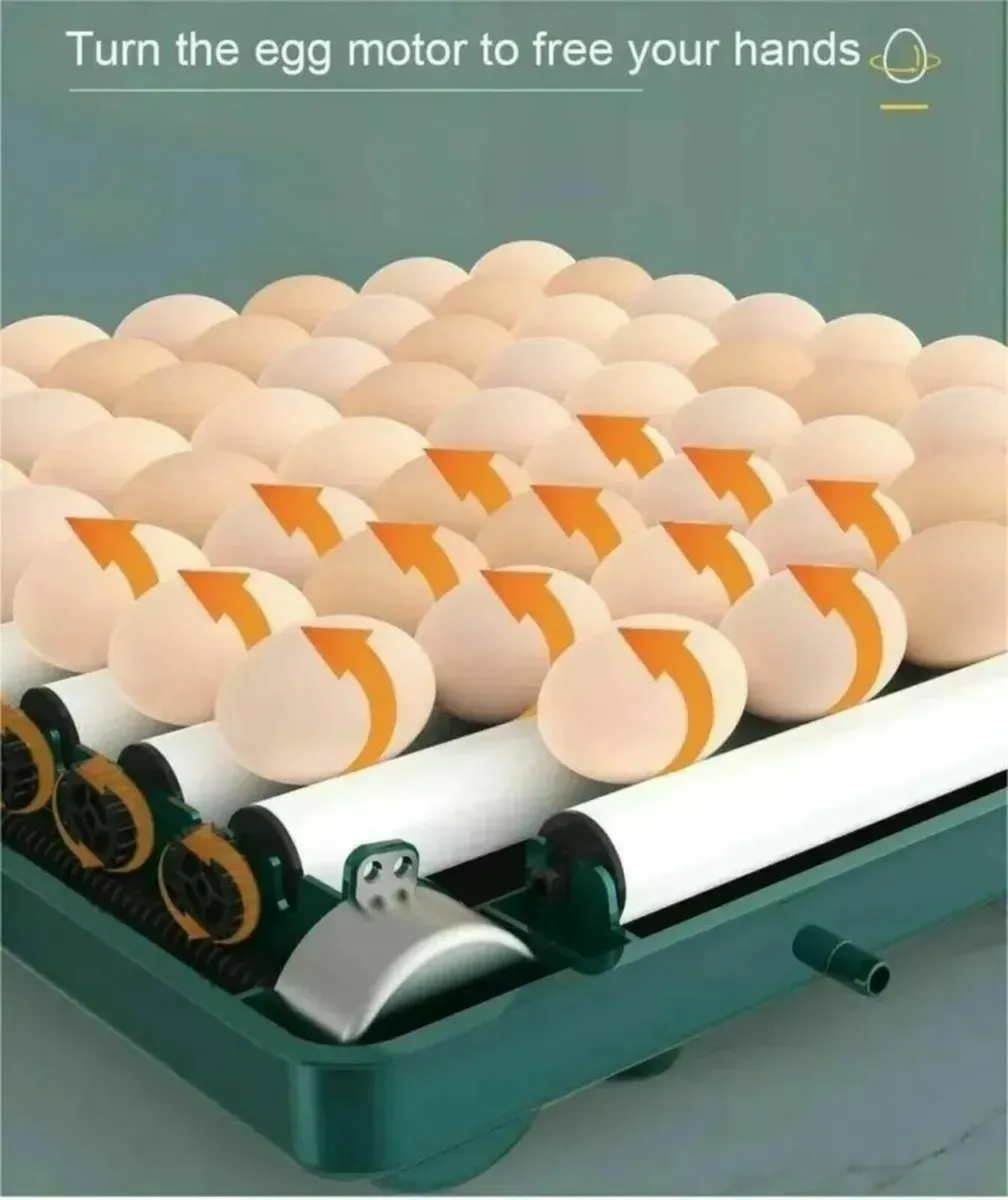 36 Egg Incubator with Drawers – Auto Temp & Refill - Image 3