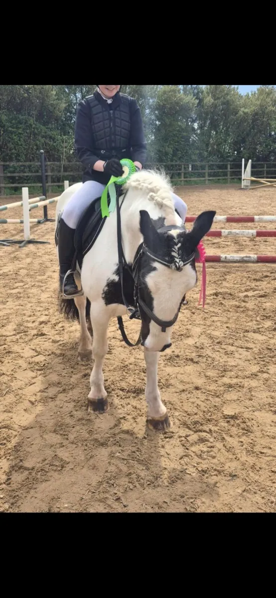 Perfect fun pony - Image 2