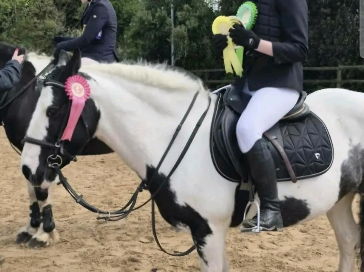 Perfect fun pony - Image 3