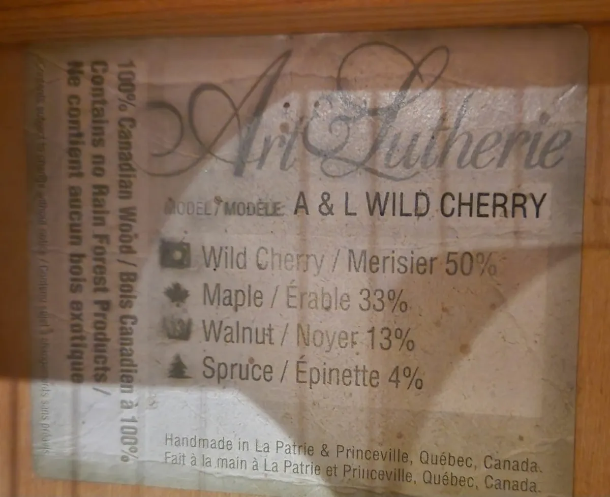 Acoustic Guitar - Image 4