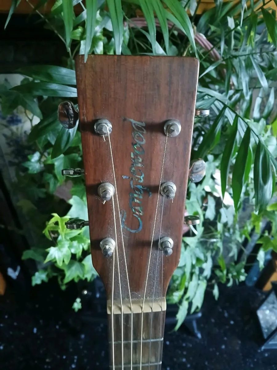 Tanglewood TW 155 ST Semi Acoustic guitar - Image 2
