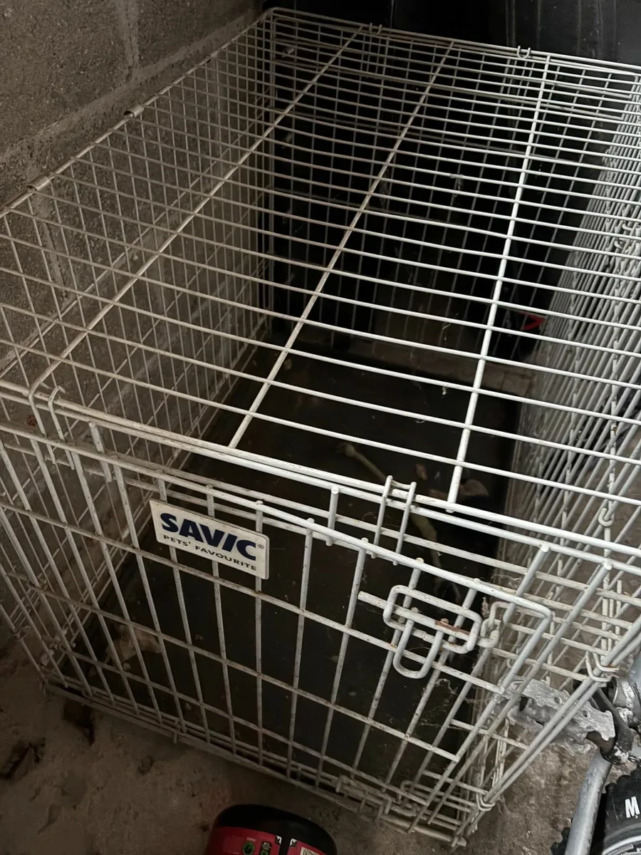 Crate for large dog
