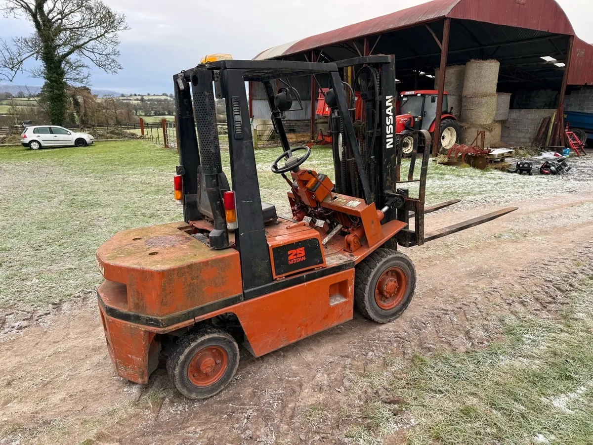 Nissan 25 forklift - Image 2
