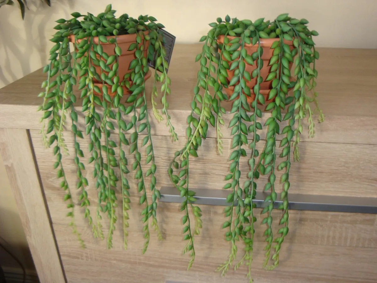 Artificial string of tears plants - Image 3