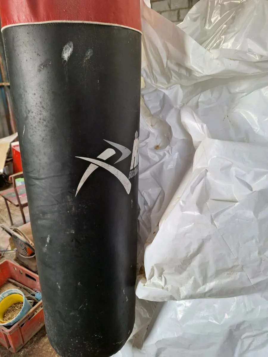 Boxing punch bag - Image 2