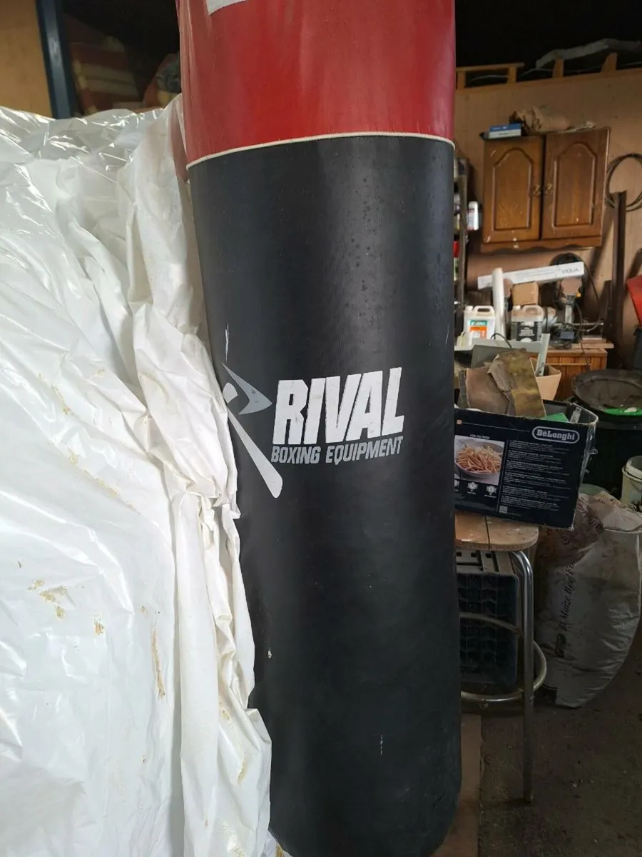 Boxing punch bag - Image 1