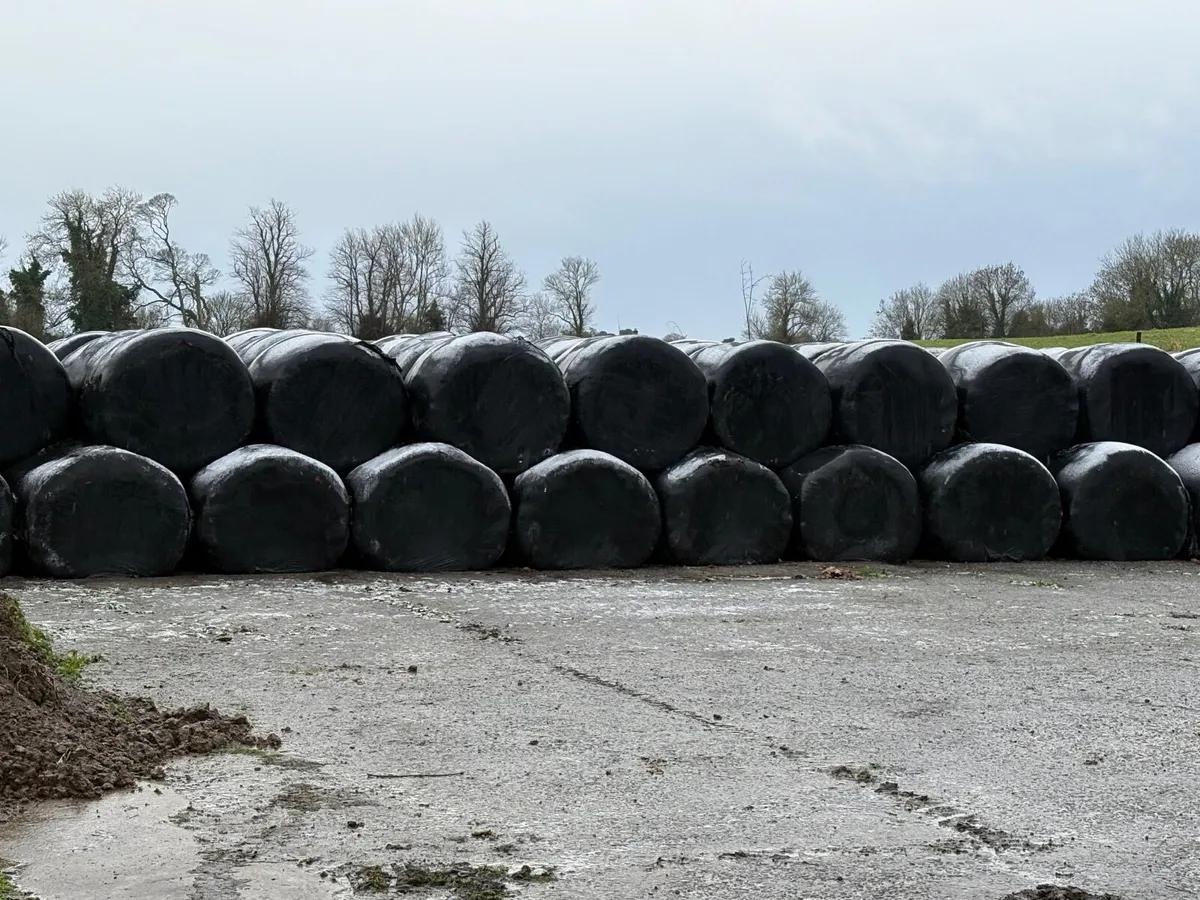 Silage Bales - Image 1