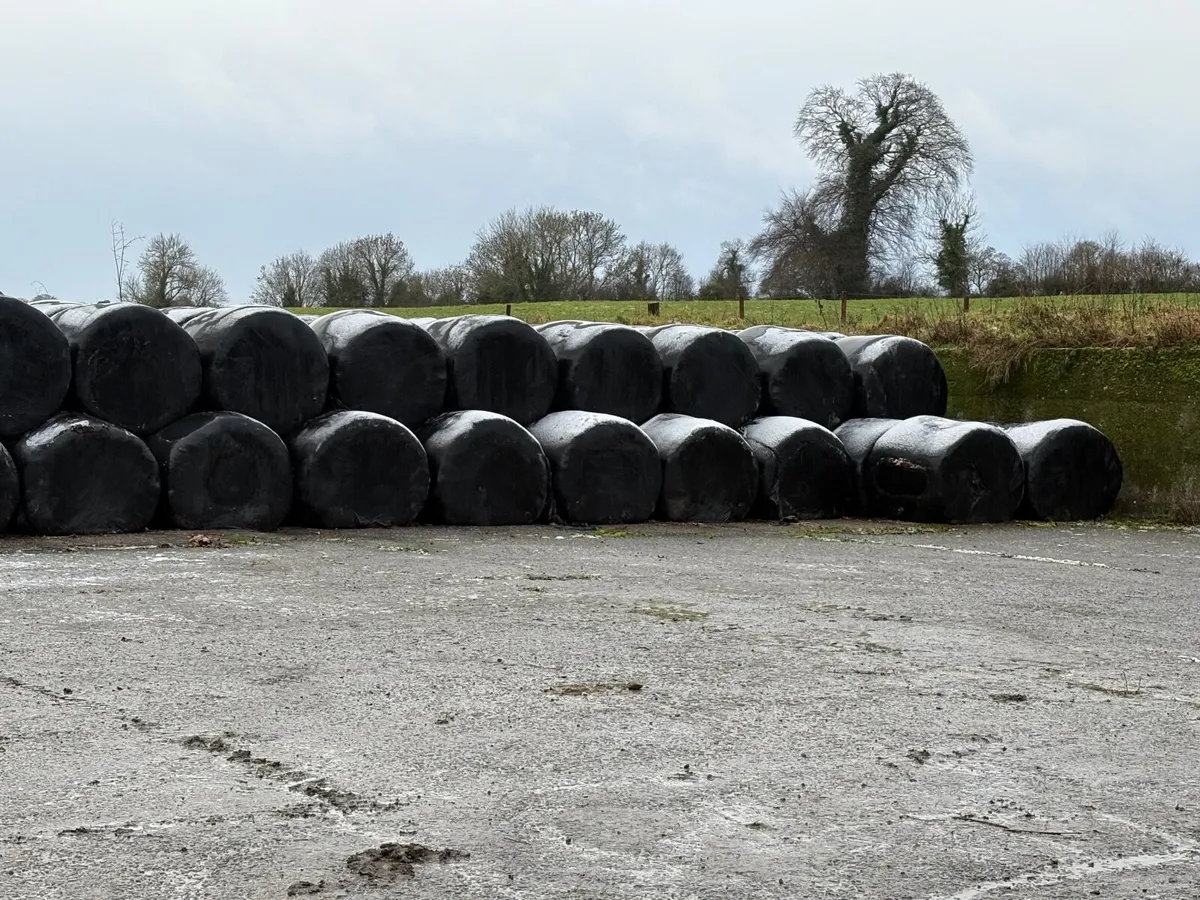 Silage Bales - Image 2