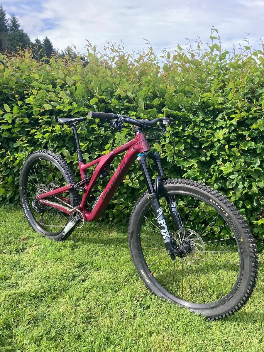 Specialized Stumpjumper Evo Alloy - Image 1