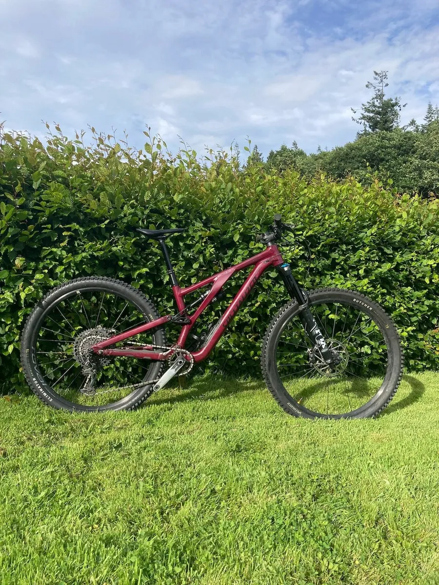 Specialized Stumpjumper Evo Alloy - Image 2