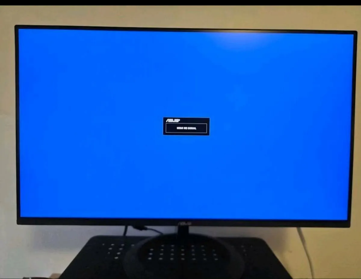 ASUS Full HD 24' Monitor