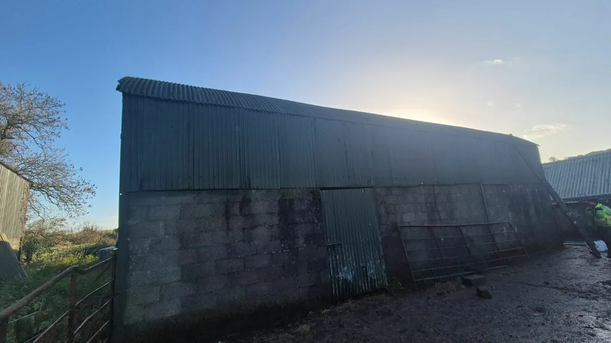 Munster Farm Shed Repairs & Painting - Image 3