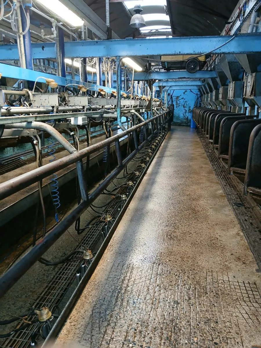 Delaval milking parlour - Image 3