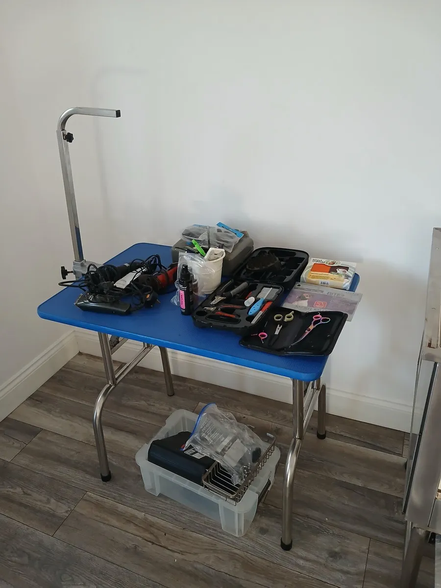 Dog Grooming Equipment - Image 4