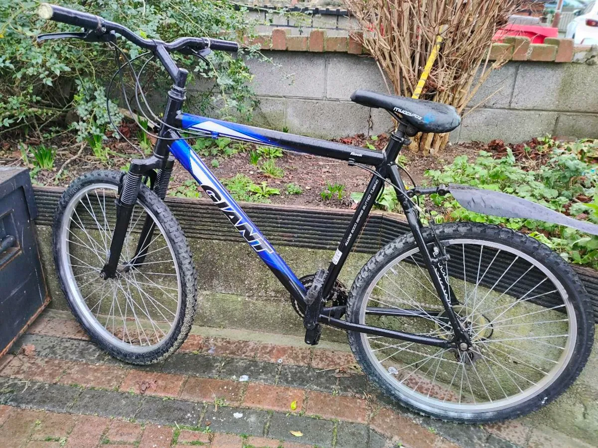 Giant mountain bike - Image 1