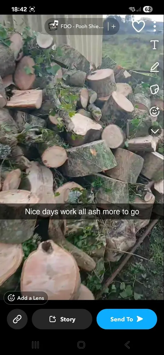 Chainsaw services - Image 2