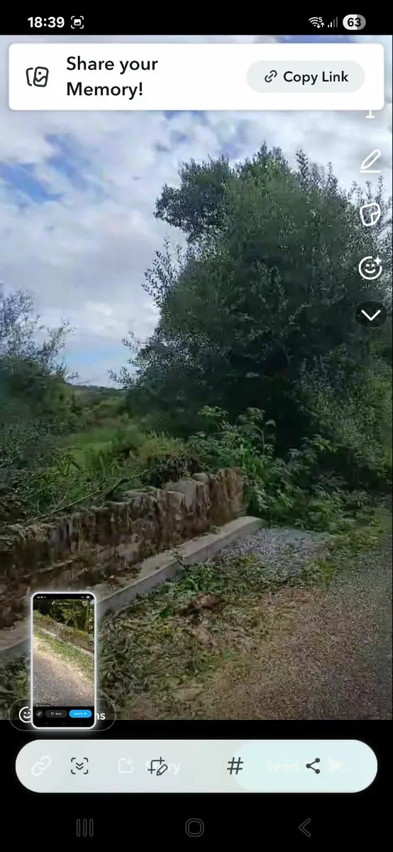 Chainsaw services - Image 3