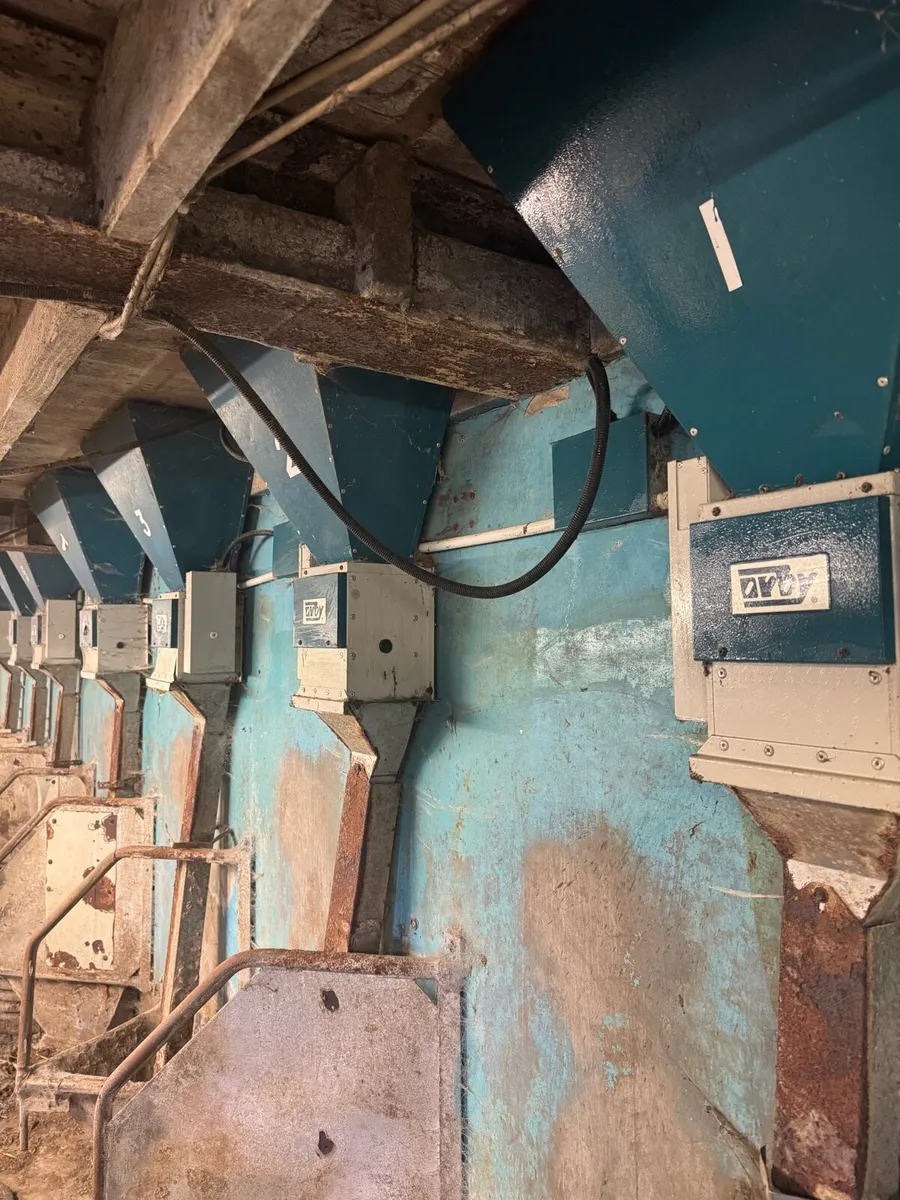 X30 Pneumatic Batch and single feeders - Image 3