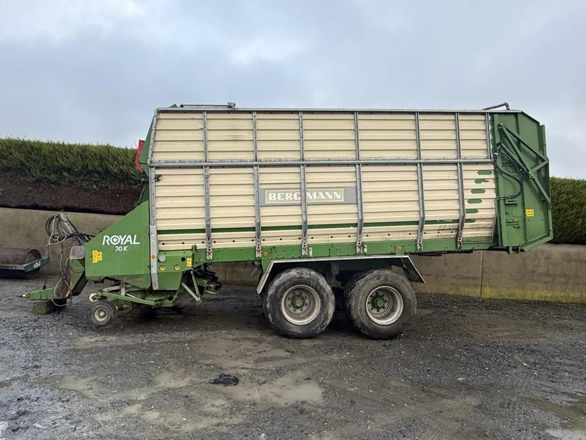 2008 Bergmann Zero Grazer **Online Auction** - Image 3