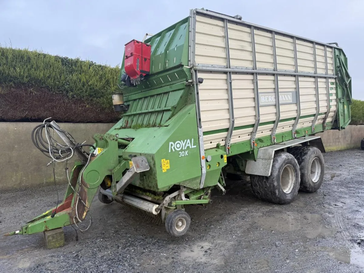 2008 Bergmann Zero Grazer **Online Auction** - Image 1