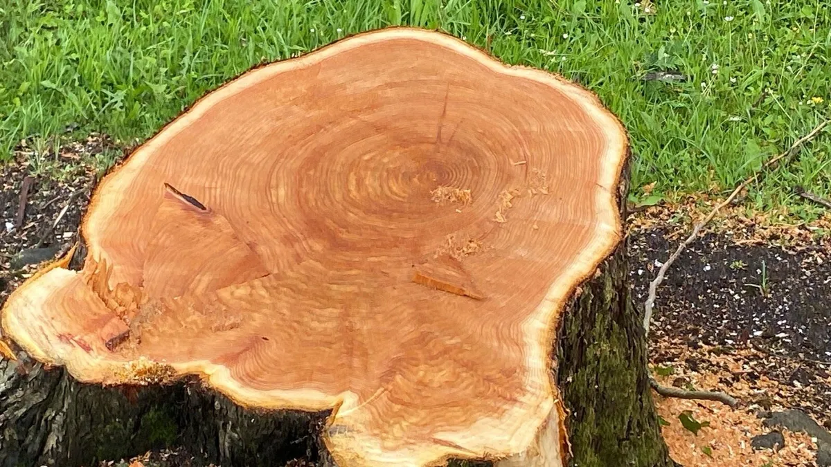 Woodchip, firewood. Lumber. - Image 3