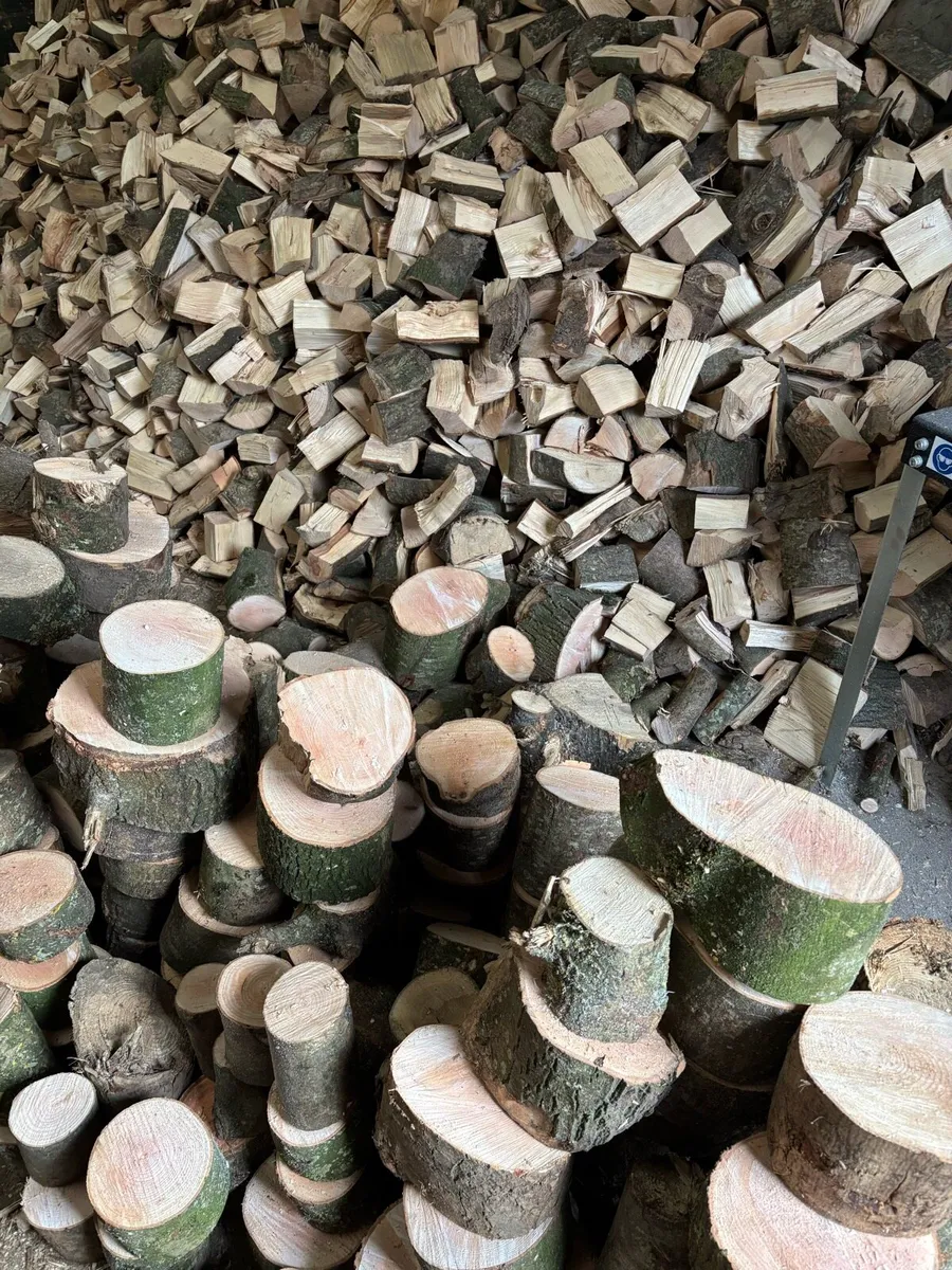 Log Splitter Hire - Image 2