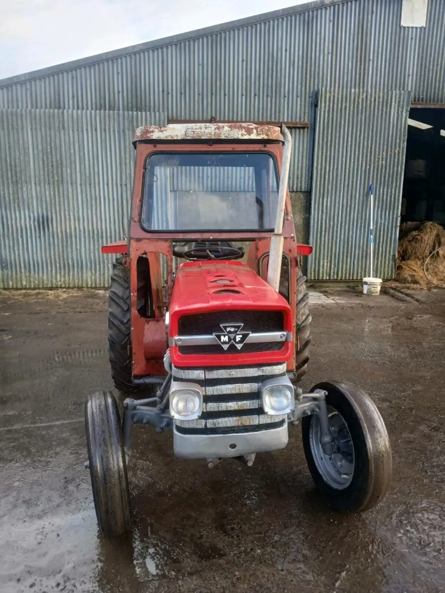 Massey Ferguson 135 - Image 2