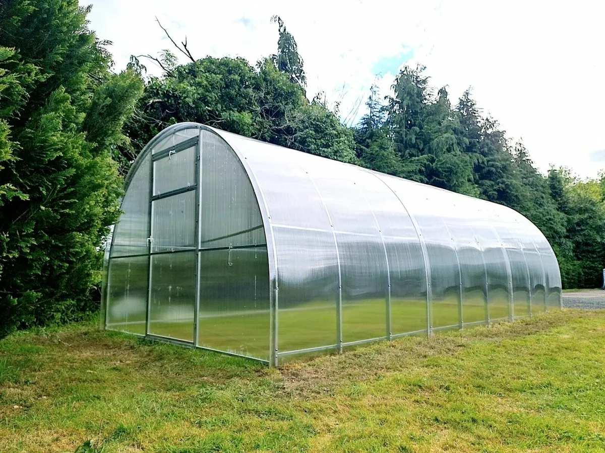 polycarbonate greenhouse – Champion 3x6m 🌿 - Image 2