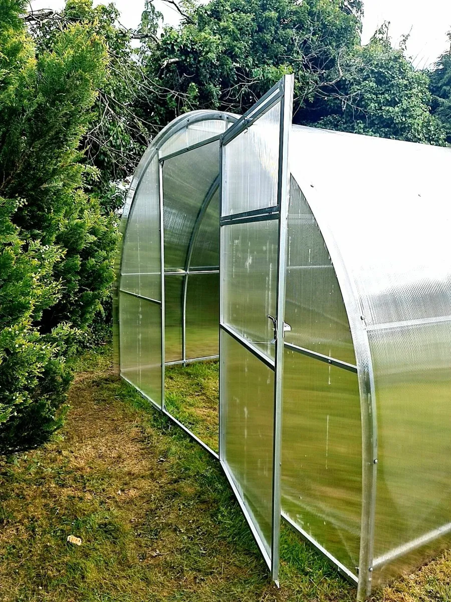 polycarbonate greenhouse – Champion 3x6m 🌿 - Image 3