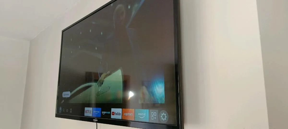 Polaroid 49" - Image 1