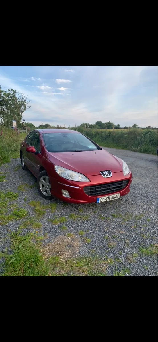 Peugeot 407 - Image 1