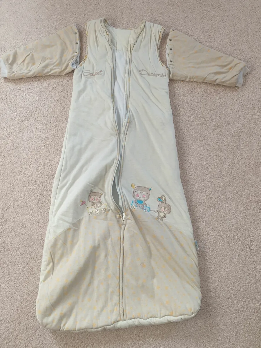 Sleeping bag with detachable sleeves - Image 1