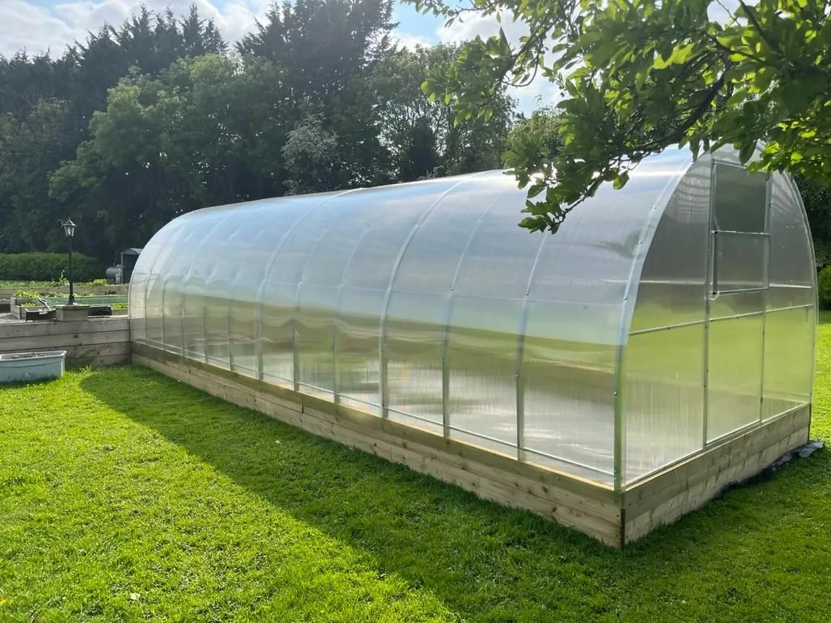 🌿 Greenhouse Champion 3×8 m – from BMPgarden.ie - Image 1