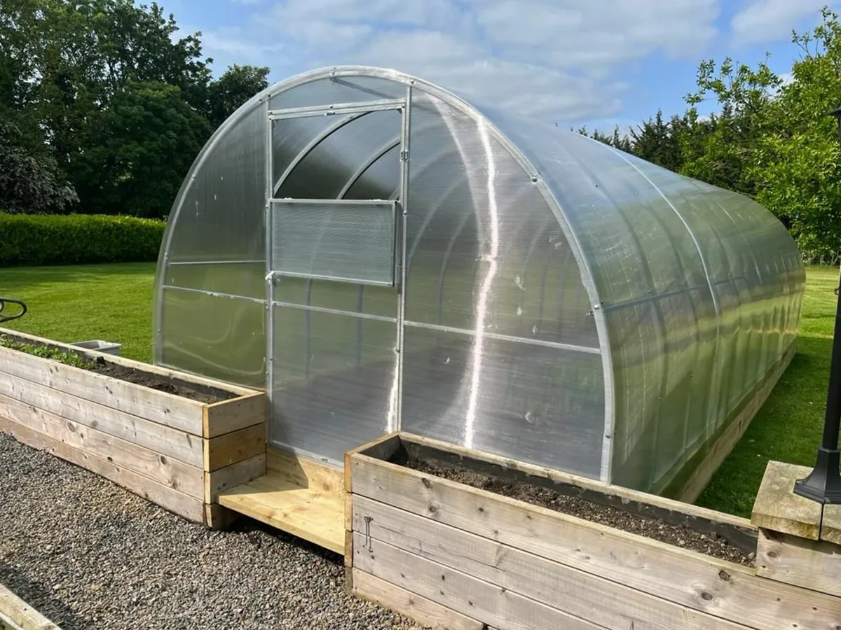 🌿 Greenhouse Champion 3×8 m – from BMPgarden.ie - Image 2