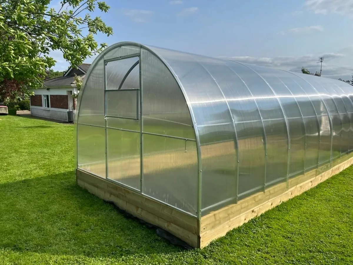 🌿 Greenhouse Champion 3×8 m – from BMPgarden.ie - Image 3