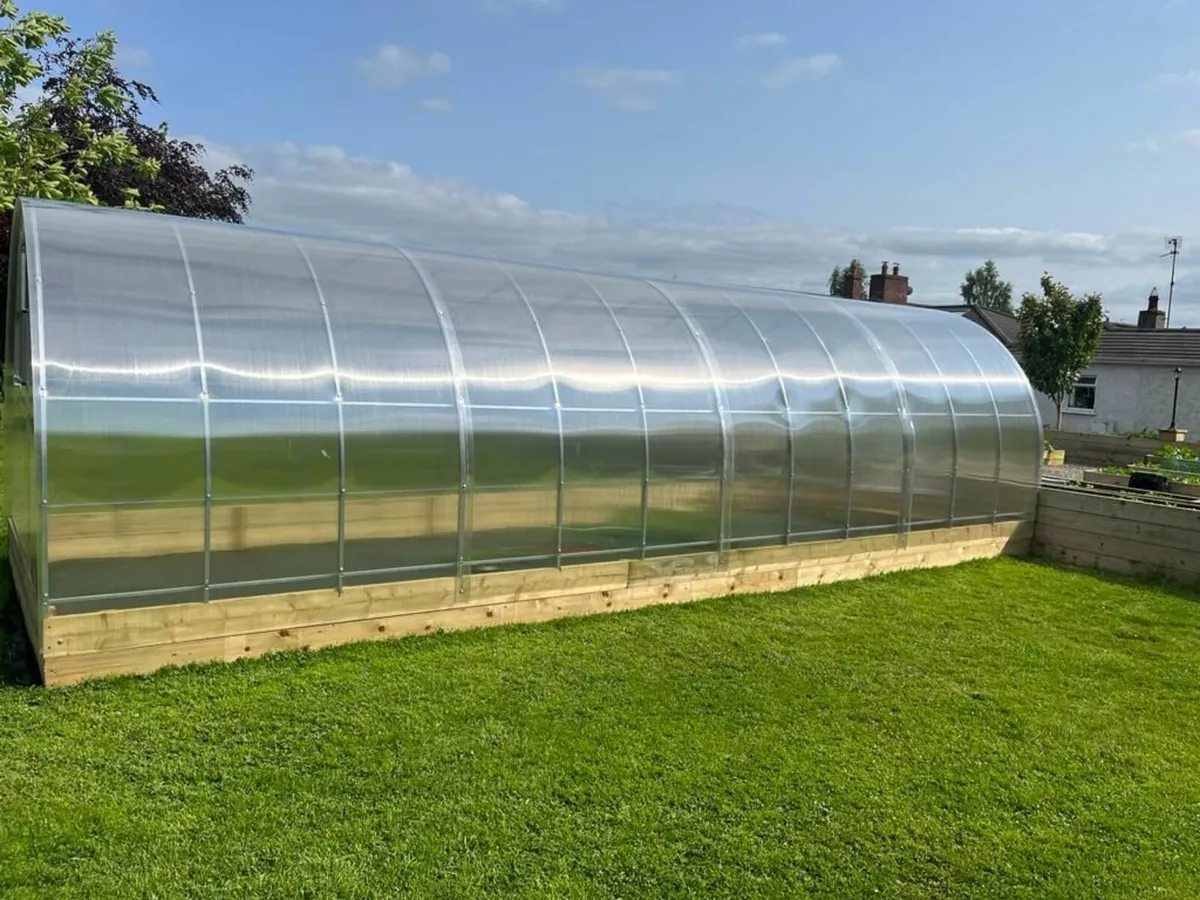 🌿 Greenhouse Champion 3×8 m – from BMPgarden.ie - Image 4