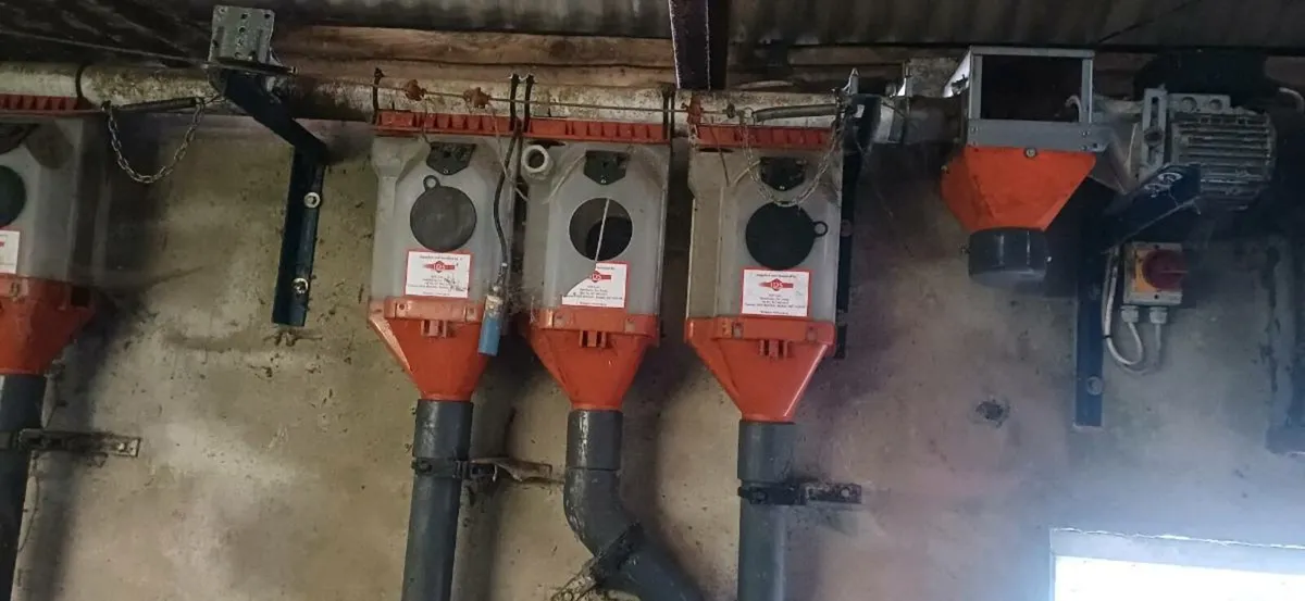 Batch feeders with auger - Image 2