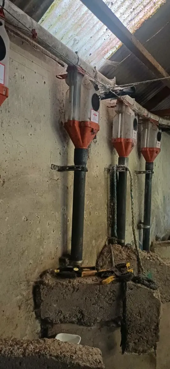 Batch feeders with auger - Image 3