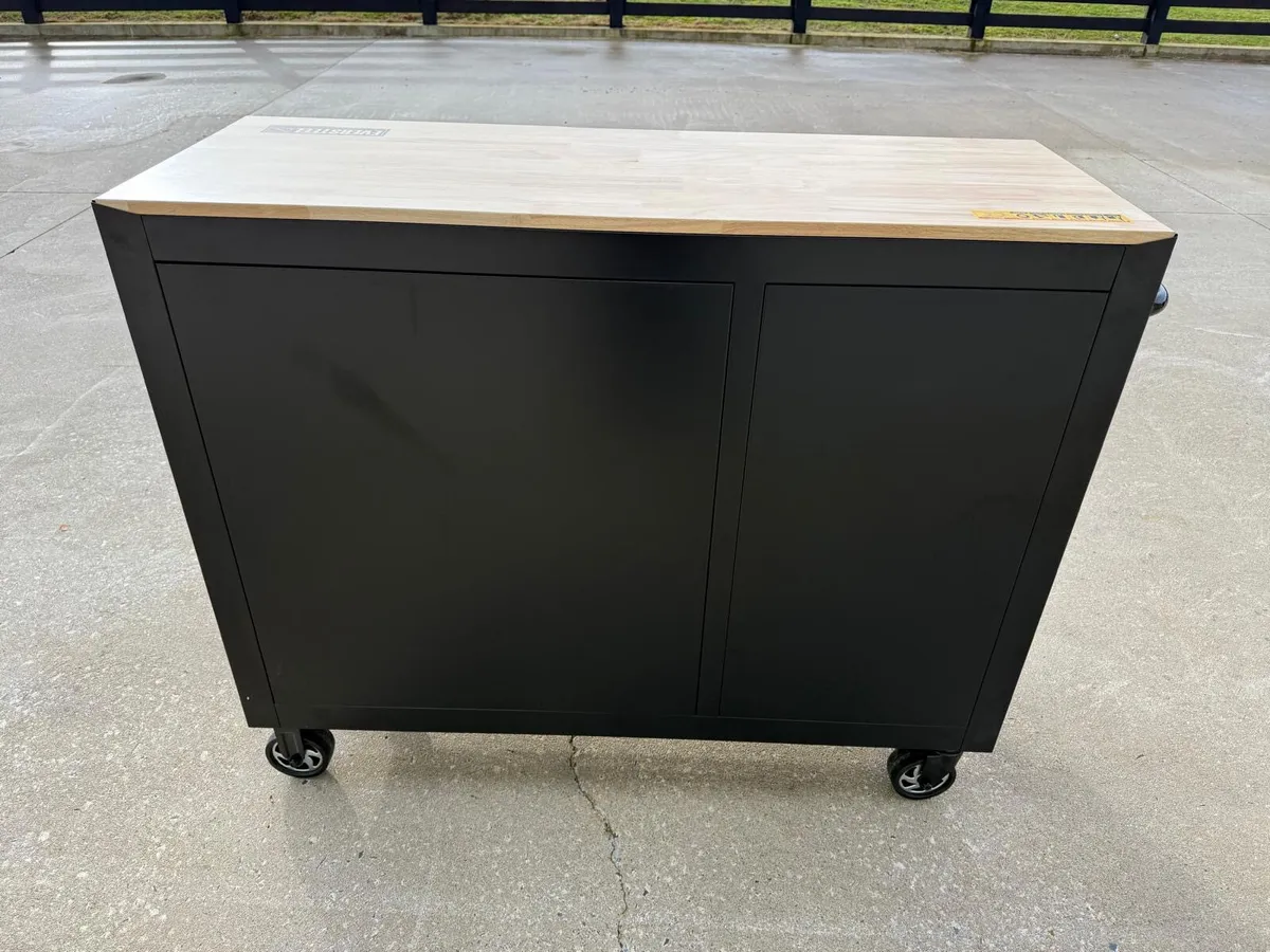 New Eversteel 11 Drawer Toolbox **Online Auction** - Image 4