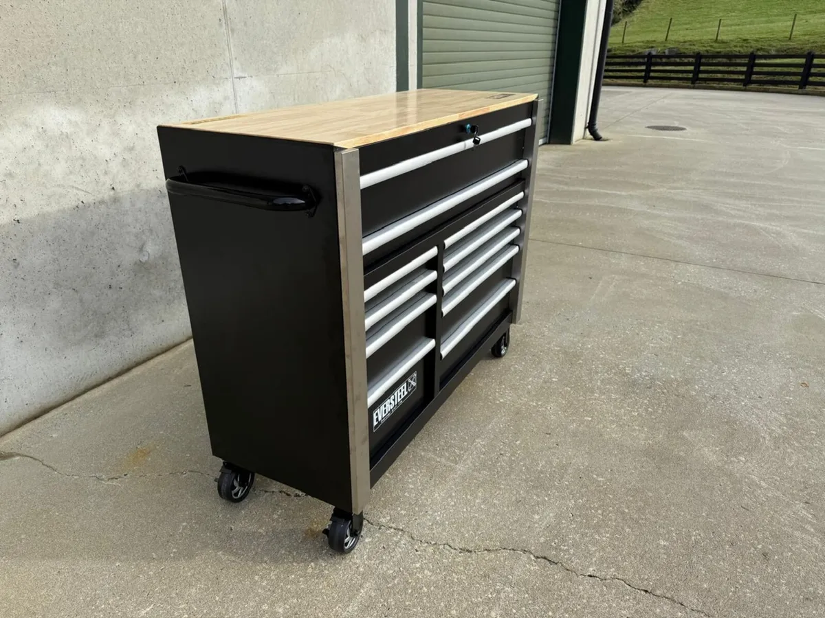 New Eversteel 11 Drawer Toolbox **Online Auction** - Image 3