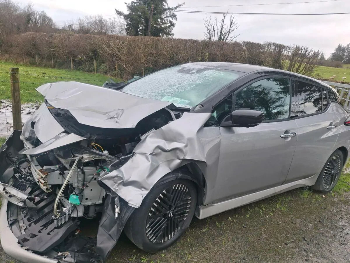 2023 Nissan leaf van - Image 4