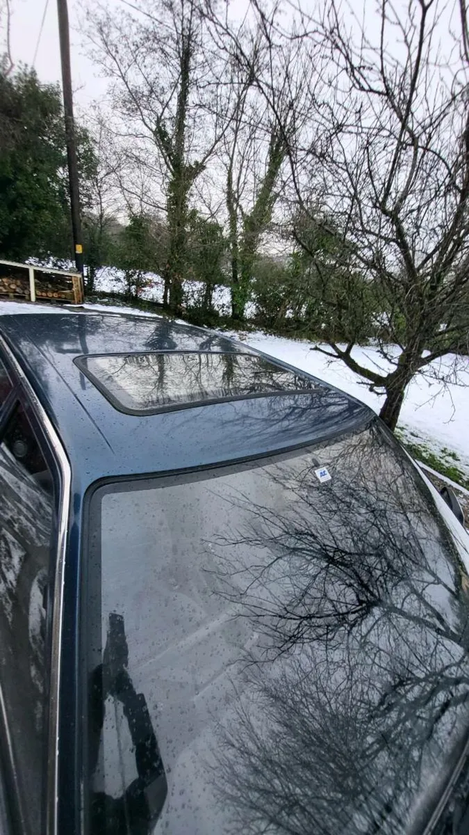 Nissan bluebird - Image 2