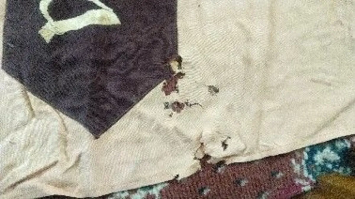 Genuine 1937 marching band banner - Image 2