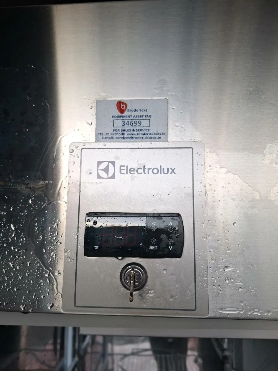 Electralux tall double freezer - Image 4