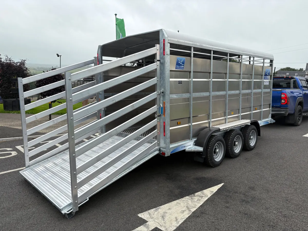 New Falcon Cattle Trailer 14x6 - Image 2