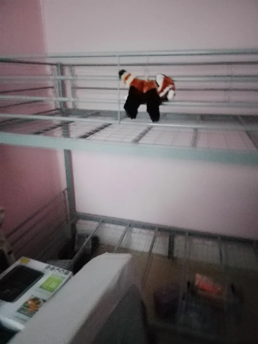 Bunk beds metal - Image 4